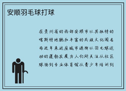 安顺羽毛球打球